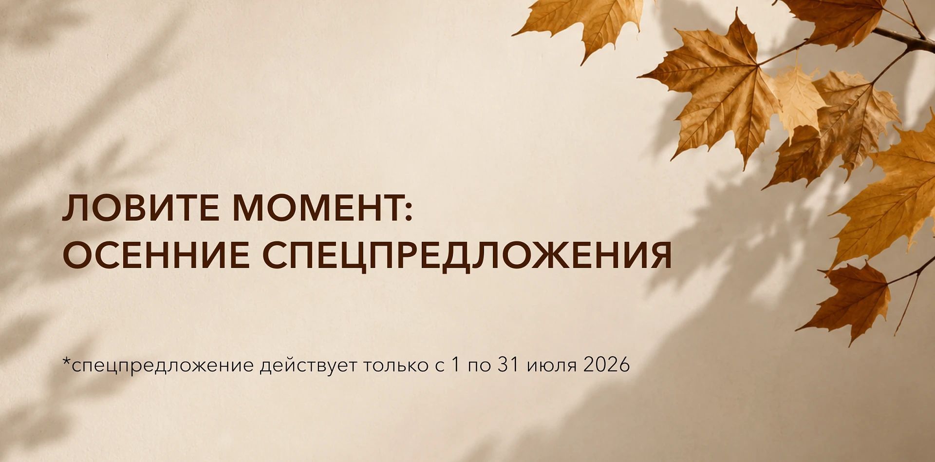 Новые поступления